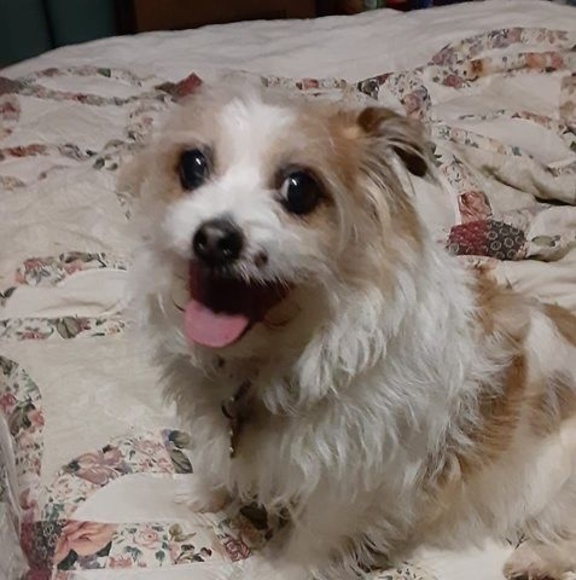 Meet your Posher, Kimberly - Picture 1 of 1